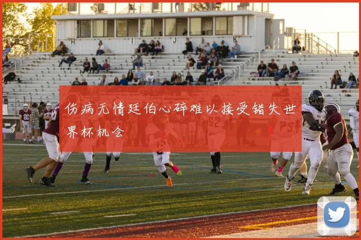 伤病无情廷伯心碎难以接受错失世界杯机会